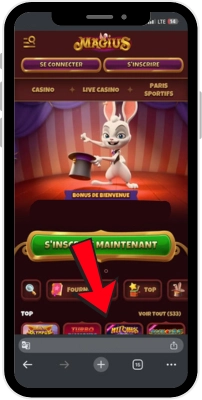 Le site officiel Magius