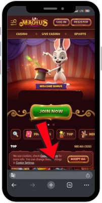 Official Website Magius
