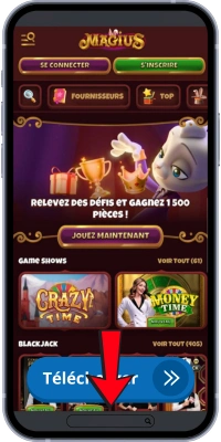 Site officiel Magius