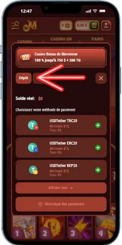 Mode de paiement du Casino Magius