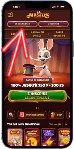 Site officiel de la plateforme Magius