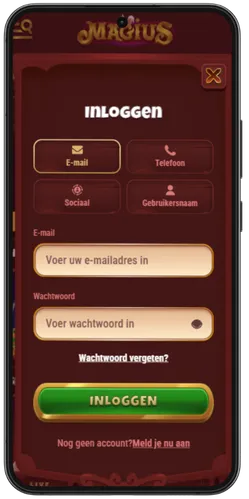 Magius Voer je gegevens in