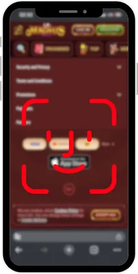 Magius Face ID-verificatie